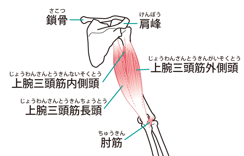 しんぷるフィットネス しんぷるフィットネス